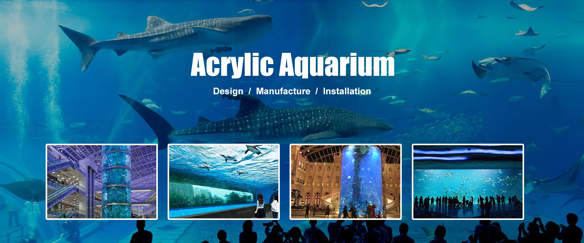 China Acrylaquarium Lieferanten