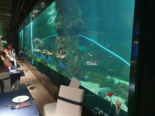 Handwerk aquatischer Kunst: Immersives Acryl -Fischtank -Panorama für Themenrestaurants