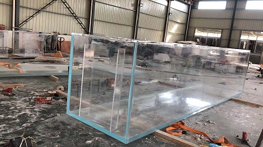 Aquarium -Betrachtungsfenster: Ein visueller Hub zum Verbinden der Unterwasserwelt