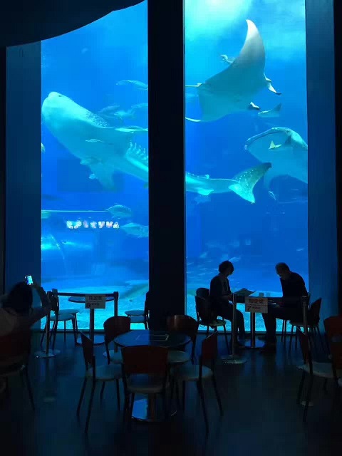 Was sind die wichtigsten Designpunkte für Aquarium -Anzeigenfenster?