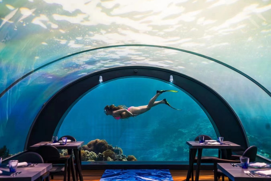 Aquariumfenster